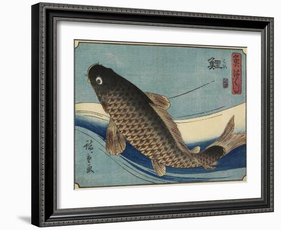 Carp, 1830-1844-Utagawa Hiroshige-Framed Giclee Print