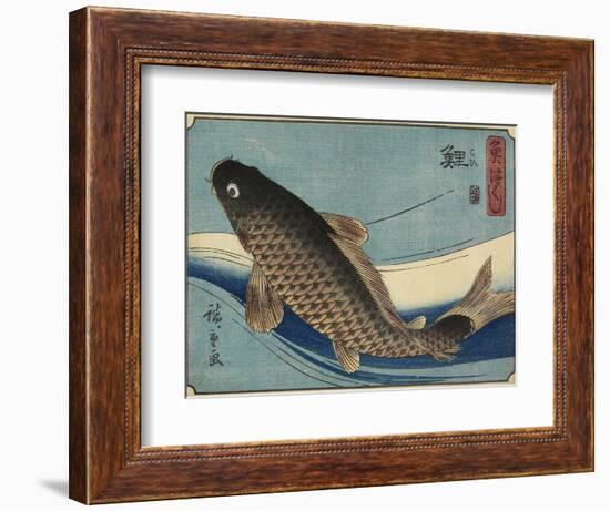 Carp, 1830-1844-Utagawa Hiroshige-Framed Giclee Print