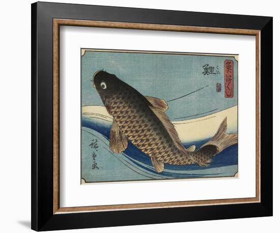 Carp, 1830-1844-Utagawa Hiroshige-Framed Giclee Print