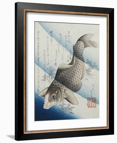 Carp Among Aquatic Leaves-Katsushika Taito II-Framed Giclee Print