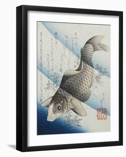 Carp Among Aquatic Leaves-Katsushika Taito II-Framed Giclee Print