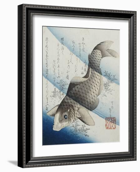 Carp Among Aquatic Leaves-Katsushika Taito II-Framed Giclee Print