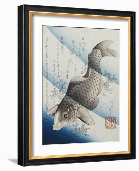 Carp Among Aquatic Leaves-Katsushika Taito II-Framed Giclee Print