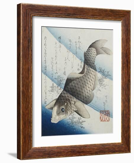 Carp Among Aquatic Leaves-Katsushika Taito II-Framed Giclee Print