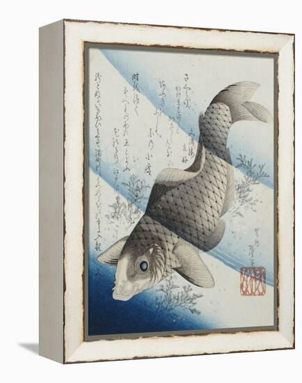 Carp Among Aquatic Leaves-Katsushika Taito II-Framed Premier Image Canvas
