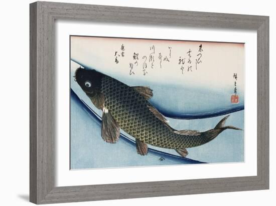 Carp', from the Series 'Collection of Fish'-Ando Hiroshige-Framed Giclee Print