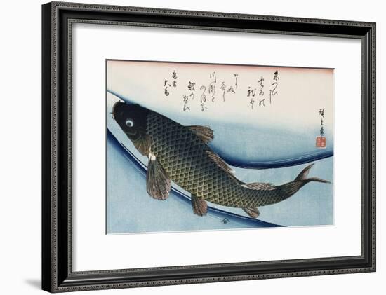 Carp', from the Series 'Collection of Fish'-Ando Hiroshige-Framed Giclee Print