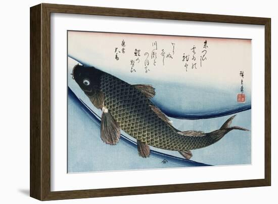 Carp', from the Series 'Collection of Fish'-Ando Hiroshige-Framed Giclee Print