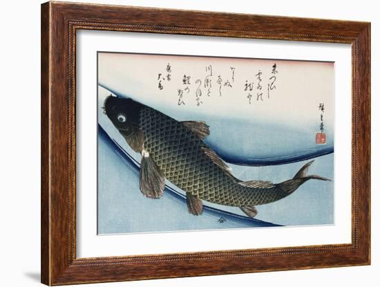 Carp', from the Series 'Collection of Fish'-Ando Hiroshige-Framed Giclee Print