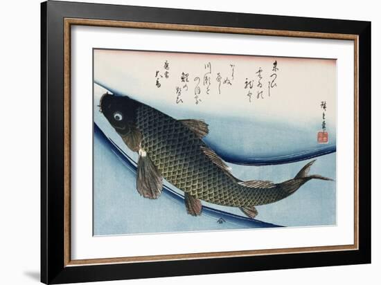 Carp', from the Series 'Collection of Fish'-Ando Hiroshige-Framed Giclee Print