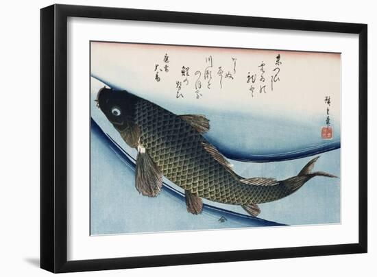 Carp', from the Series 'Collection of Fish'-Ando Hiroshige-Framed Giclee Print