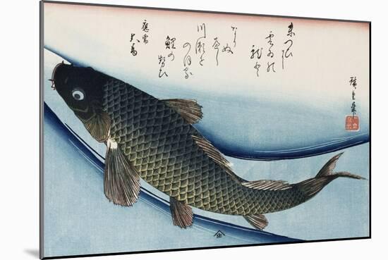 Carp', from the Series 'Collection of Fish'-Ando Hiroshige-Mounted Giclee Print