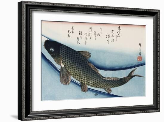 Carp', from the Series 'Collection of Fish'-Ando Hiroshige-Framed Giclee Print