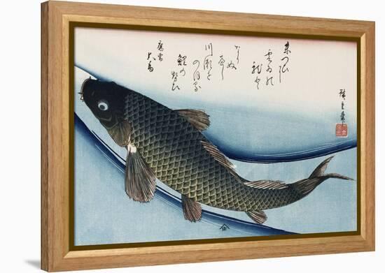 Carp', from the Series 'Collection of Fish'-Ando Hiroshige-Framed Premier Image Canvas