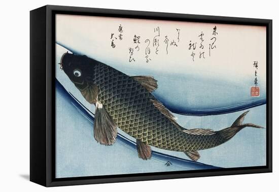 Carp', from the Series 'Collection of Fish'-Ando Hiroshige-Framed Premier Image Canvas