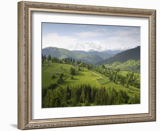 Carpathian Mountains North of Campulung Moldovenesc, Moldavia, Southern Bucovina, Romania, Europe-Gary Cook-Framed Photographic Print