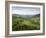 Carpathian Mountains North of Campulung Moldovenesc, Moldavia, Southern Bucovina, Romania, Europe-Gary Cook-Framed Photographic Print