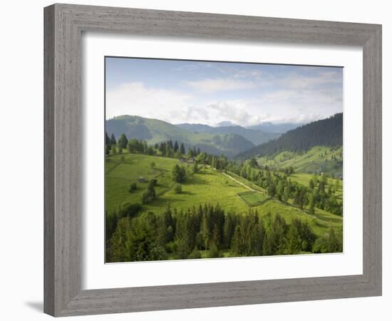 Carpathian Mountains North of Campulung Moldovenesc, Moldavia, Southern Bucovina, Romania, Europe-Gary Cook-Framed Photographic Print