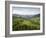 Carpathian Mountains North of Campulung Moldovenesc, Moldavia, Southern Bucovina, Romania, Europe-Gary Cook-Framed Photographic Print