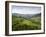 Carpathian Mountains North of Campulung Moldovenesc, Moldavia, Southern Bucovina, Romania, Europe-Gary Cook-Framed Photographic Print