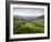 Carpathian Mountains North of Campulung Moldovenesc, Moldavia, Southern Bucovina, Romania, Europe-Gary Cook-Framed Photographic Print