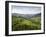 Carpathian Mountains North of Campulung Moldovenesc, Moldavia, Southern Bucovina, Romania, Europe-Gary Cook-Framed Photographic Print