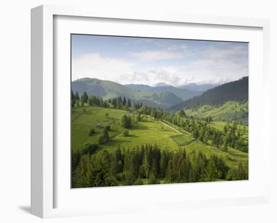 Carpathian Mountains North of Campulung Moldovenesc, Moldavia, Southern Bucovina, Romania, Europe-Gary Cook-Framed Photographic Print