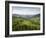 Carpathian Mountains North of Campulung Moldovenesc, Moldavia, Southern Bucovina, Romania, Europe-Gary Cook-Framed Photographic Print