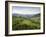 Carpathian Mountains North of Campulung Moldovenesc, Moldavia, Southern Bucovina, Romania, Europe-Gary Cook-Framed Photographic Print