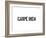 Carpe Diem-SM Design-Framed Art Print