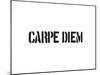 Carpe Diem-SM Design-Mounted Art Print