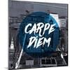 Carpe Diem-null-Mounted Giclee Print