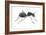 Carpenter Ant (Camponotus Pennsylvanicus), Insects-Encyclopaedia Britannica-Framed Art Print