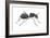 Carpenter Ant (Camponotus Pennsylvanicus), Insects-Encyclopaedia Britannica-Framed Art Print