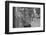 Carpenter in Westmoreland County, Pennsylvania, 1935-Walker Evans-Framed Photographic Print