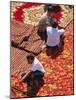 Carpet Market, Tashkent, Uzbekistan, Central Asia-Upperhall Ltd-Mounted Photographic Print