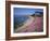 Carpet of Mesembryanthemum Flowers, Pacific Grove, Monterey, California, USA-Geoff Renner-Framed Photographic Print