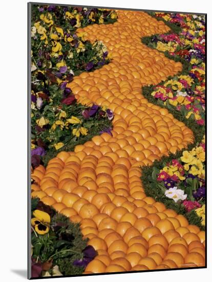Carpet of Oranges and Flowers, Lemon Festival, Menton, Cote d'Azur, Provence, France-Ruth Tomlinson-Mounted Photographic Print