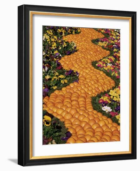 Carpet of Oranges and Flowers, Lemon Festival, Menton, Cote d'Azur, Provence, France-Ruth Tomlinson-Framed Photographic Print