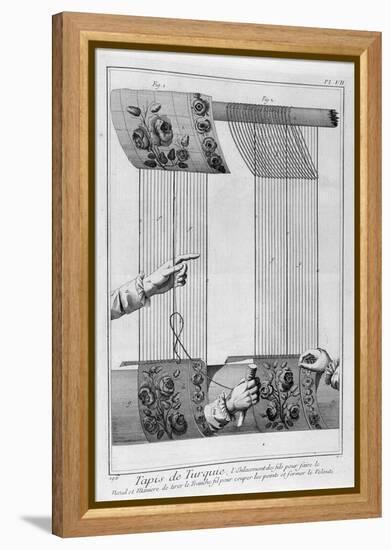 Carpet of Turkey, 1751-1777-Denis Diderot-Framed Premier Image Canvas