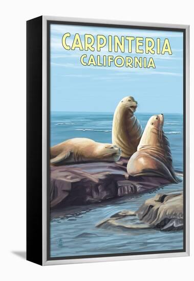 Carpinteria, California - Sea Lions-Lantern Press-Framed Stretched Canvas