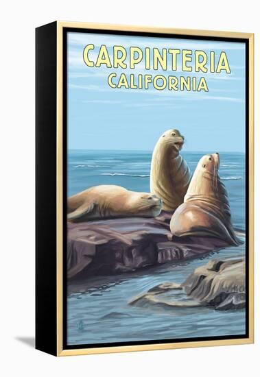 Carpinteria, California - Sea Lions-Lantern Press-Framed Stretched Canvas