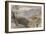 Carrara, Italy, 1861-Edward Lear-Framed Giclee Print