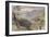 Carrara, Italy, 1861-Edward Lear-Framed Giclee Print