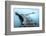 Carrasqueira II-Jesús M. García-Framed Photographic Print