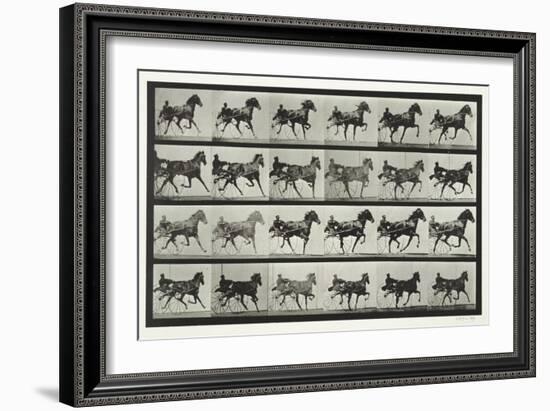 Carriage Driving, Plate 613 from 'Animal Locomotion', 1887-Eadweard Muybridge-Framed Giclee Print