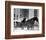 Carriage in Central Park, New York-null-Framed Giclee Print