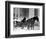 Carriage in Central Park, New York-null-Framed Giclee Print