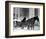 Carriage in Central Park, New York-null-Framed Giclee Print