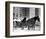 Carriage in Central Park, New York-null-Framed Giclee Print